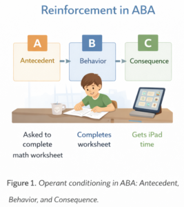 Reinforcement in ABA: Definition, Functions, and Examples Reinforcement in ABA: Definition, Functions, and ExamplesChatGPT Image Dec 26, 2025, 03_36_19 PM