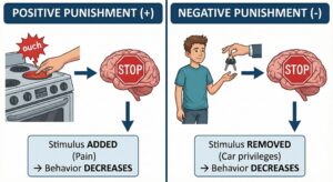 Punishment in ABA: Ethical Use, Side Effects, and How It’s Tested on the BCBA® Exam Punishment in ABA: Ethical Use, Side Effects, and How It’s Tested on the BCBA® ExamGemini_Generated_Image_8r48288r48288r48 (1)_compressed