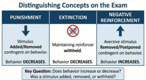 Punishment in ABA: Ethical Use, Side Effects, and How It’s Tested on the BCBA® Exam Punishment in ABA: Ethical Use, Side Effects, and How It’s Tested on the BCBA® ExamGemini_Generated_Image_8r48288r48288r48 (2)_compressed