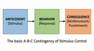 Stimulus Control ABA: The Complete Exam Guide Stimulus Control ABA: The Complete Exam GuideGemini_Generated_Image_i9o38li9o38li9o3
