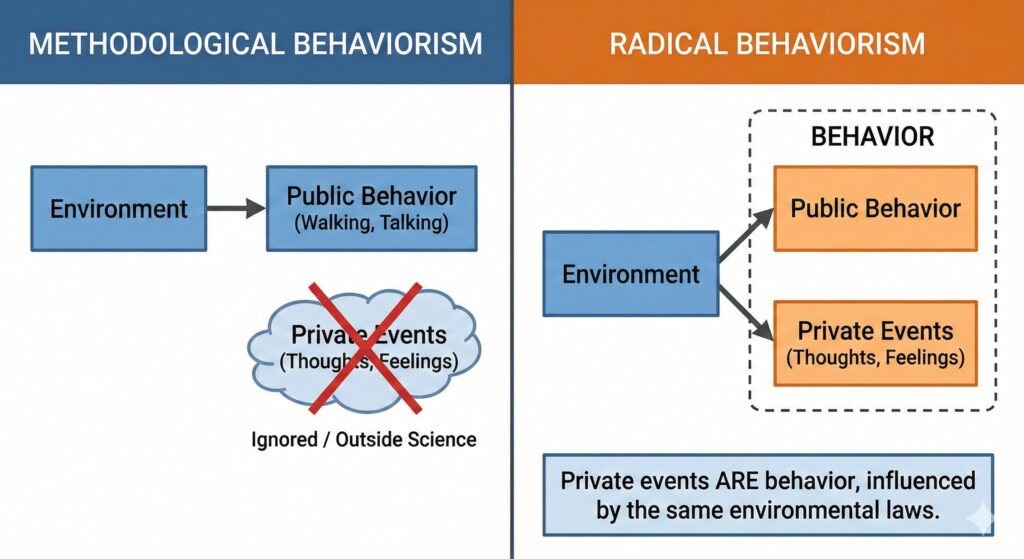Radical vs Methodological Behaviorism (with Examples)