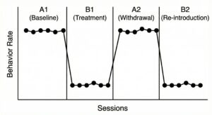 Variable Dependency and Experimental Control: Understanding IV, DV, and Confounds for the BCBA® Exam Variable Dependency and Experimental Control: Understanding IV, DV, and Confounds for the BCBA® ExamGemini_Generated_Image_k6ovnuk6ovnuk6ov (3)_compressed