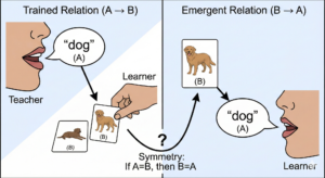 Reflexivity, Symmetry, and Transitivity: Understanding Stimulus Equivalence for the BCBA® Exam Reflexivity, Symmetry, and Transitivity: Understanding Stimulus Equivalence for the BCBA® ExamGemini_Generated_Image_z1p4qtz1p4qtz1p4 (1)_compressed