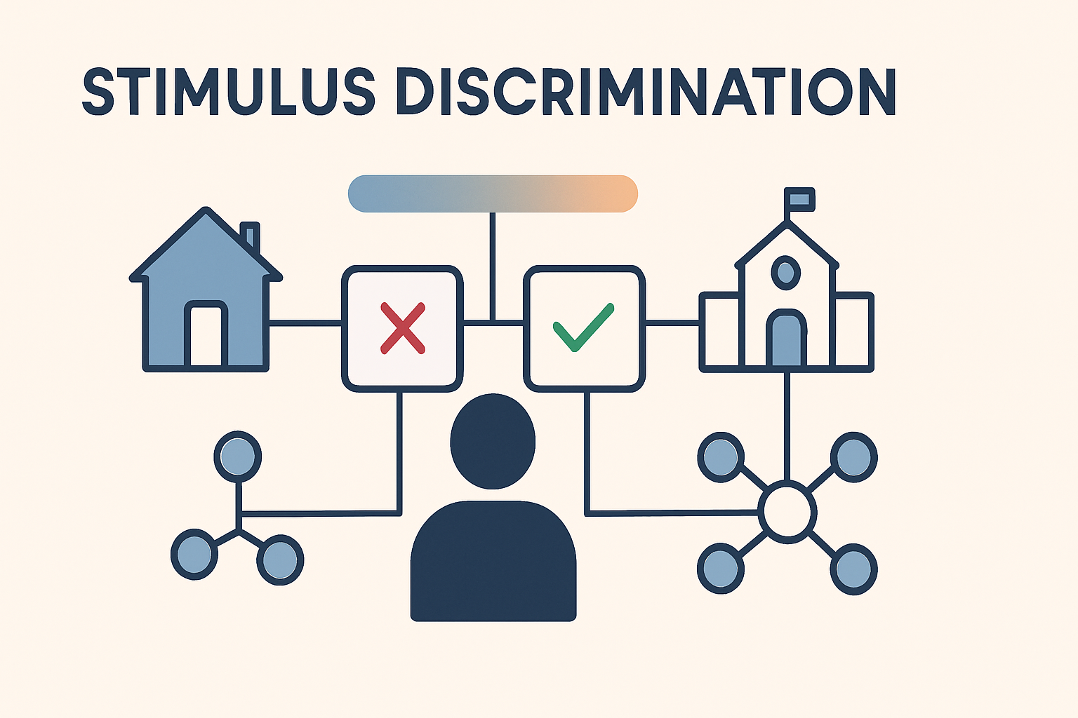 Stimulus Discrimination in ABA: A BCBA Exam Guide with Examples Stimulus Discrimination in ABA: A BCBA Exam Guide with Examplesstimulus-discrimination-aba-bcba-exam-guide-img-1