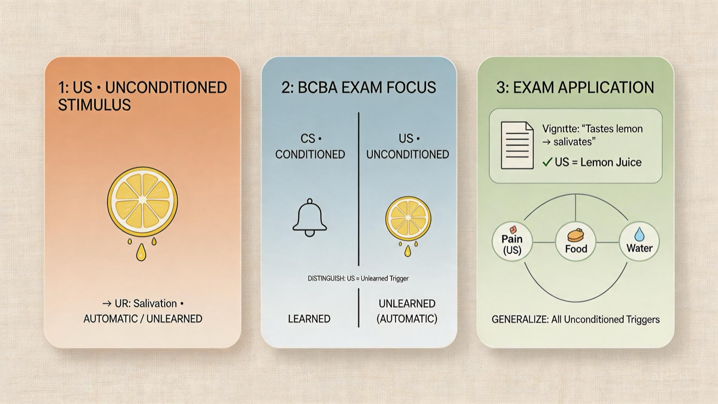 What Is an Unconditioned Stimulus? ABA Guide With Examples What Is an Unconditioned Stimulus? ABA Guide With Exampleswhat-is-unconditioned-stimulus-img-2