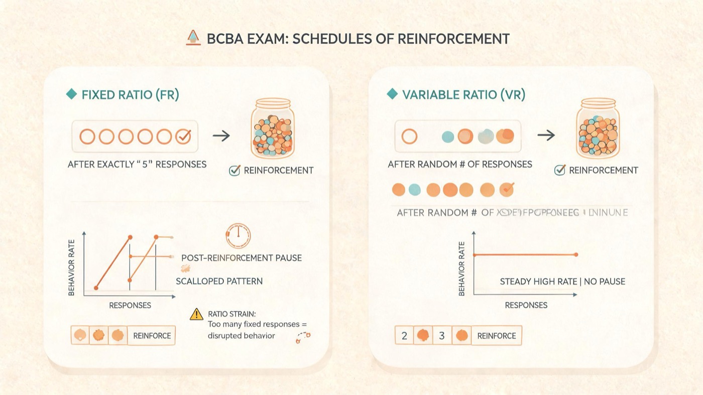 Fixed Ratio Schedule in ABA: Definition, Examples & BCBA Exam Tips Fixed Ratio Schedule in ABA: Definition, Examples & BCBA Exam Tipsfixed-ratio-schedule-aba-definition-examples-bcba-exam-tips-img-2