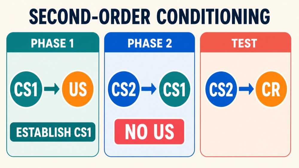 Higher-Order Conditioning: ABA Definition and Examples Higher-Order Conditioning: ABA Definition and Exampleshigher-order-conditioning-aba-definition-and-examples-image-1