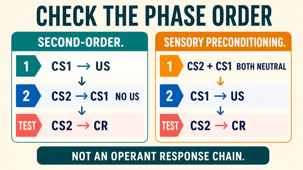 Higher-Order Conditioning: ABA Definition and Examples Higher-Order Conditioning: ABA Definition and Exampleshigher-order-conditioning-aba-definition-and-examples-image-2