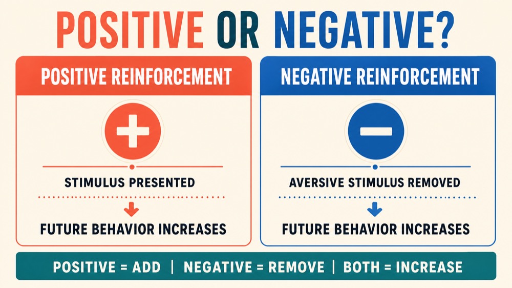 Reinforcement Contingencies in ABA: Examples and Effects Reinforcement Contingencies in ABA: Examples and Effectsreinforcement-contingencies-in-aba-examples-and-effects-image-1