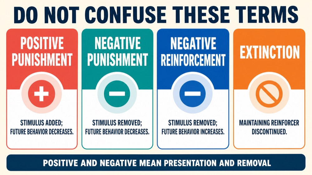 Reinforcement Contingencies in ABA: Examples and Effects Reinforcement Contingencies in ABA: Examples and Effectsreinforcement-contingencies-in-aba-examples-and-effects-image-2