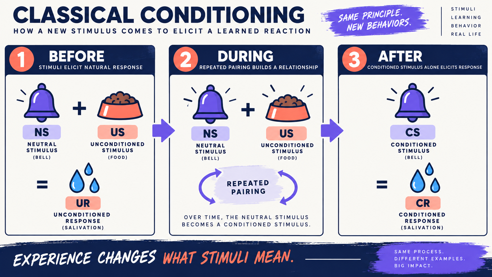 Reaction Learned Through Classical Conditioning: Conditioned Response Reaction Learned Through Classical Conditioning: Conditioned Responseimage_1