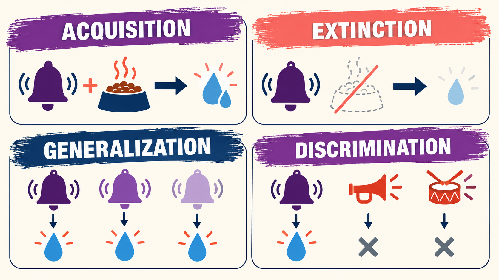 Respondent Learning Theory: Classical Conditioning for BCBA Students Respondent Learning Theory: Classical Conditioning for BCBA Studentsimage_2