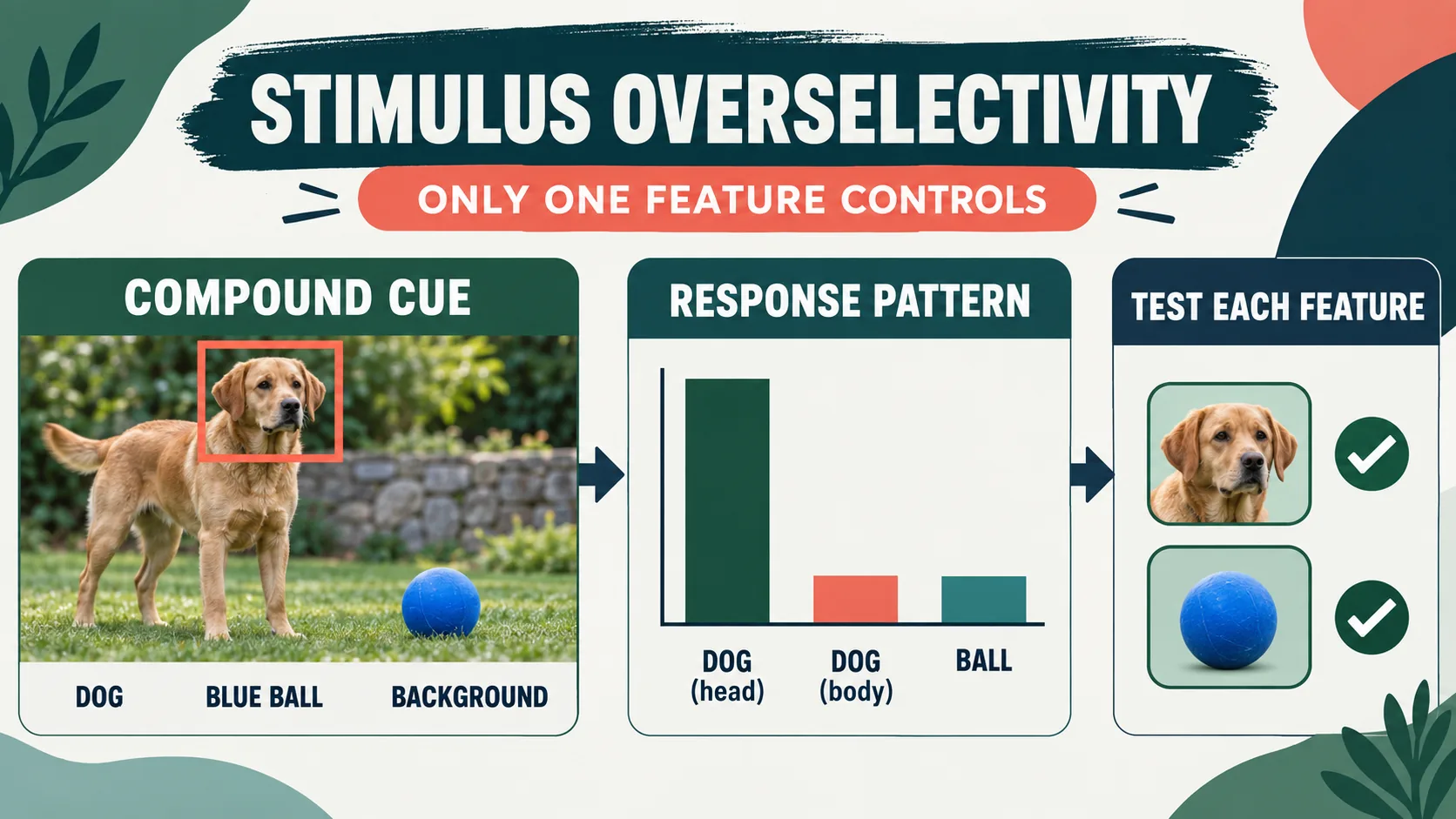 Stimulus Overselectivity ABA: When One Feature Controls Responding Stimulus Overselectivity ABA: When One Feature Controls Respondingimage_1