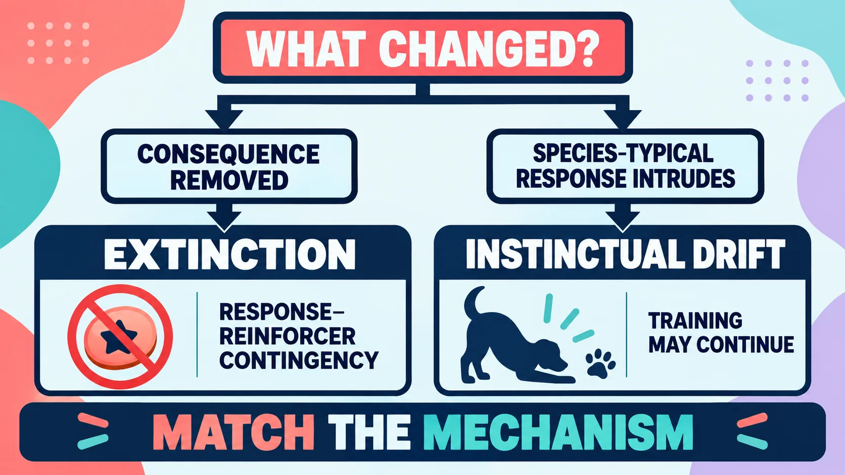 Operant Extinction vs Instinctual Drift: ABA Comparison Guide Operant Extinction vs Instinctual Drift: ABA Comparison Guideimage_2