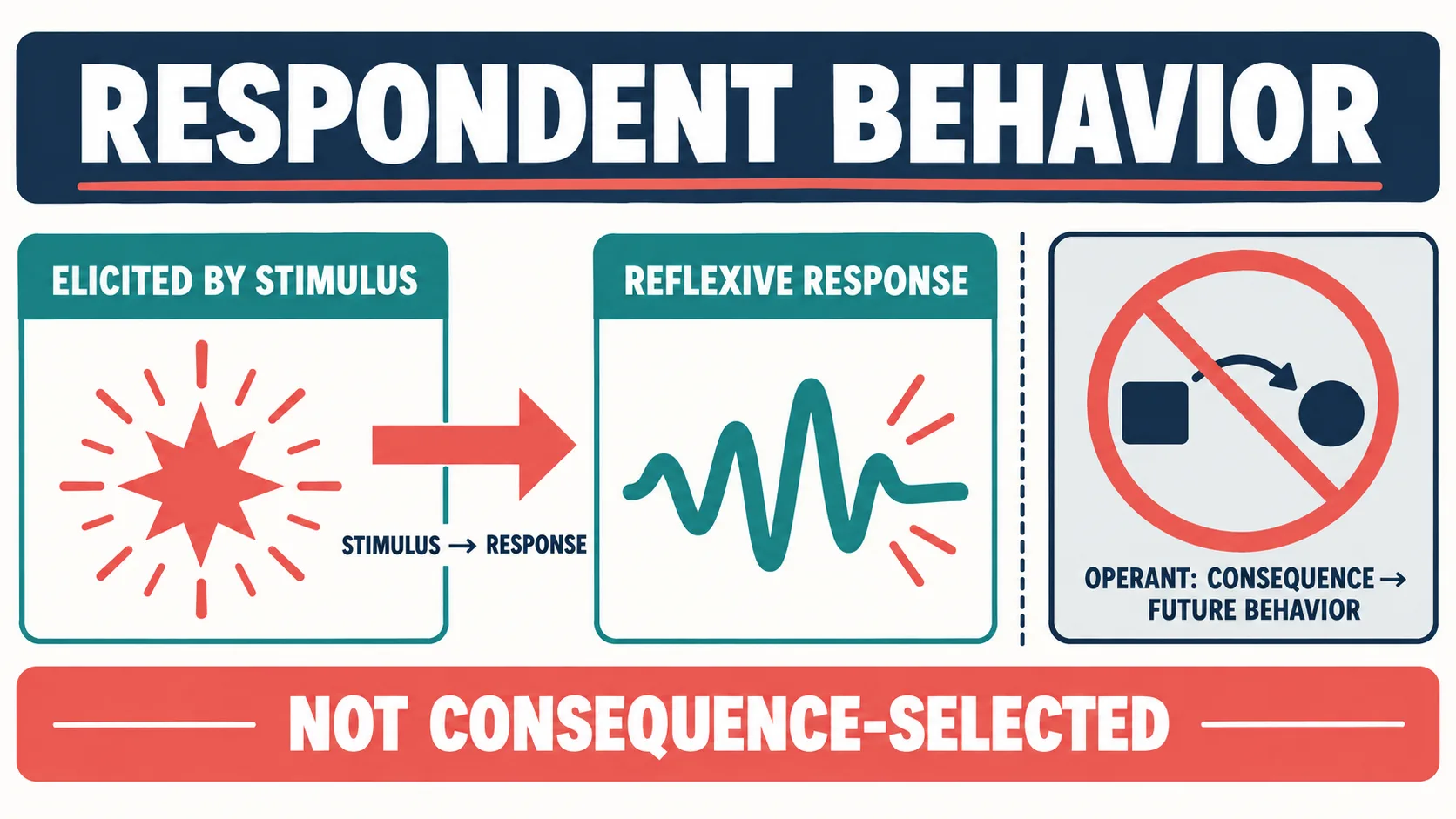 Definition of Respondent Behavior: ABA Meaning and BCBA Exam Examples Definition of Respondent Behavior: ABA Meaning and BCBA Exam Examplesrespondent-behavior-definition-map-v1